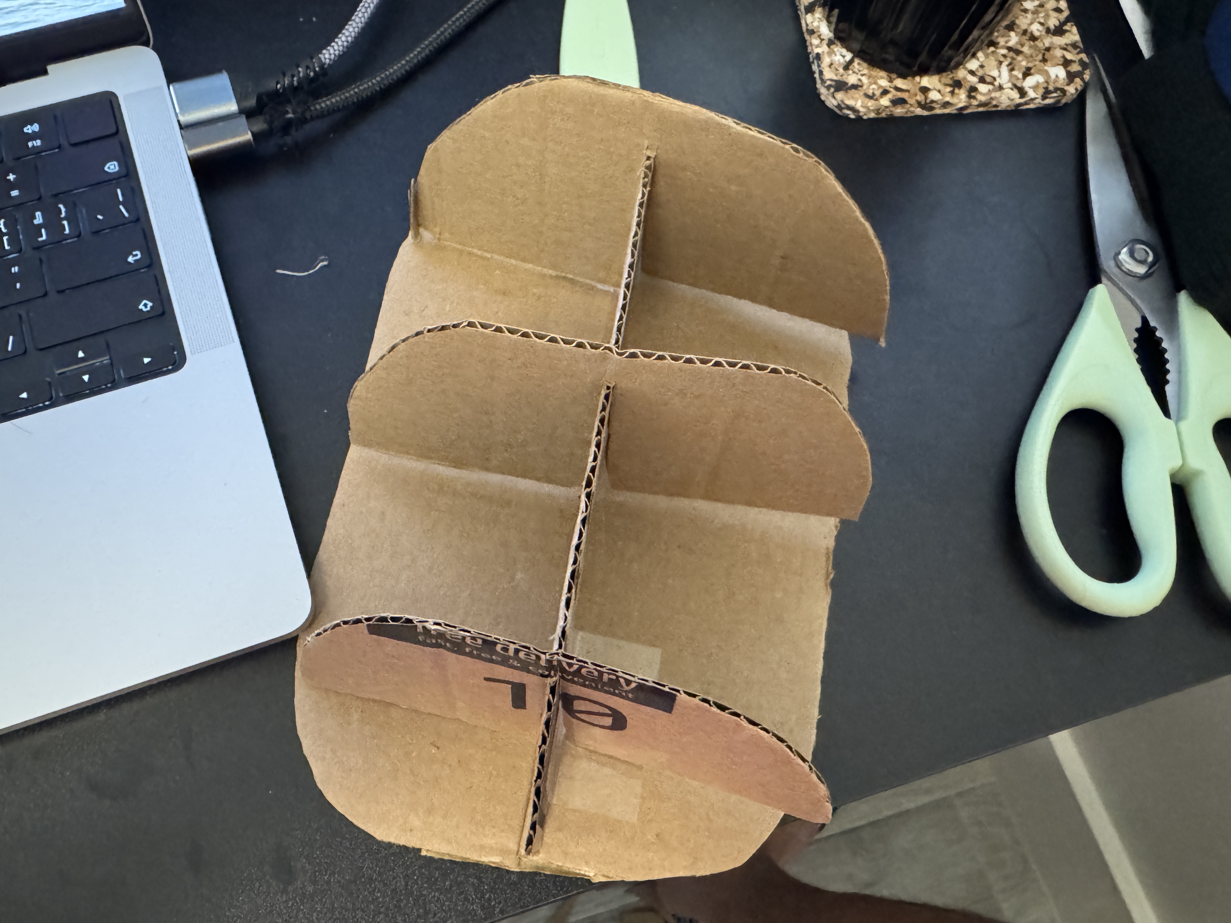 Cardboard turtle shell structure made from an oval base and intersecting curved ribs.