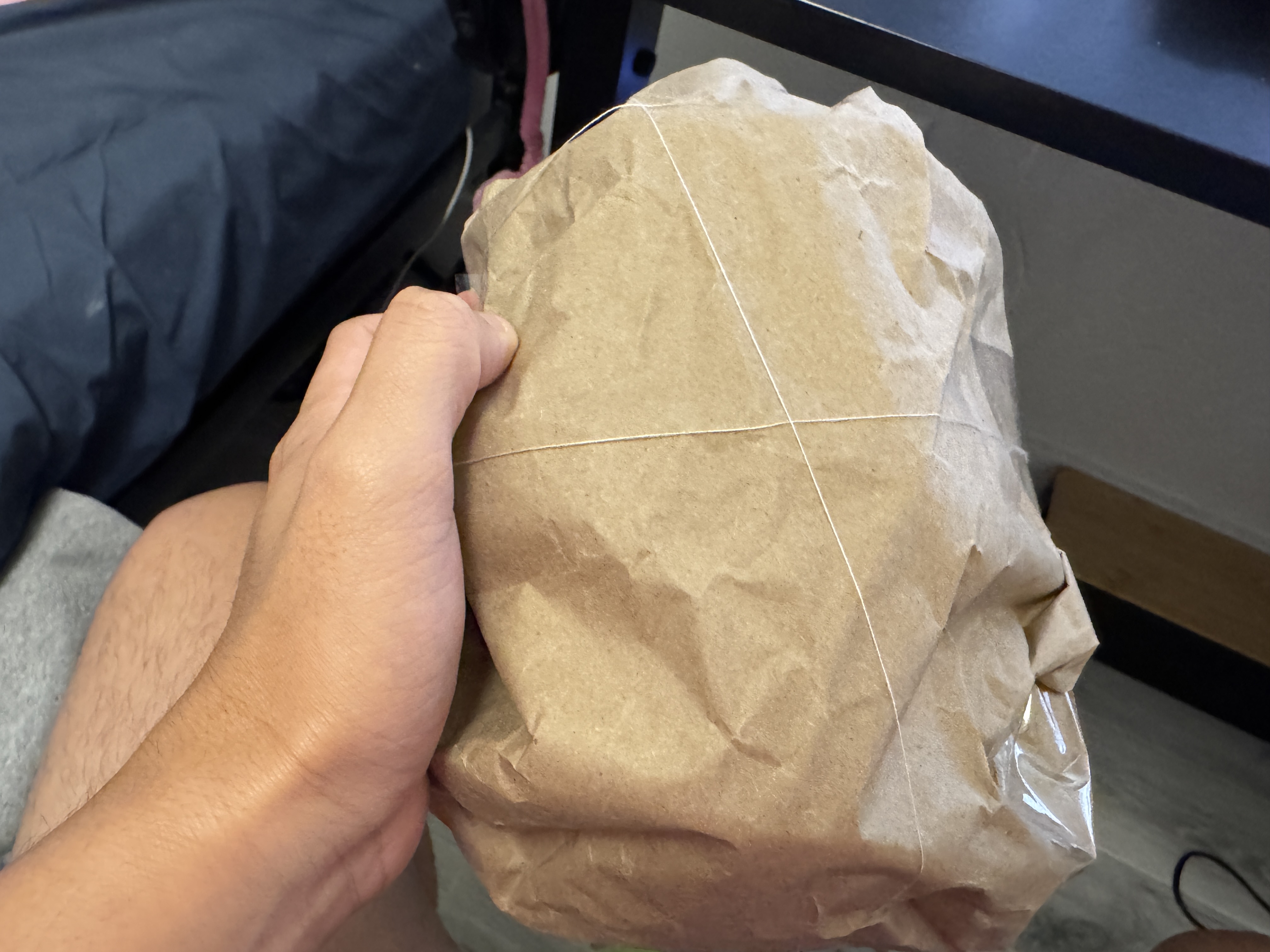 Brown paper-covered turtle shell with thin thread wrapped across the surface.