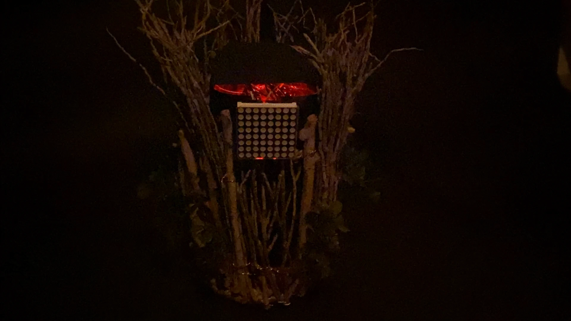 An LED face glows among branches in the Nurture artificial tree installation.