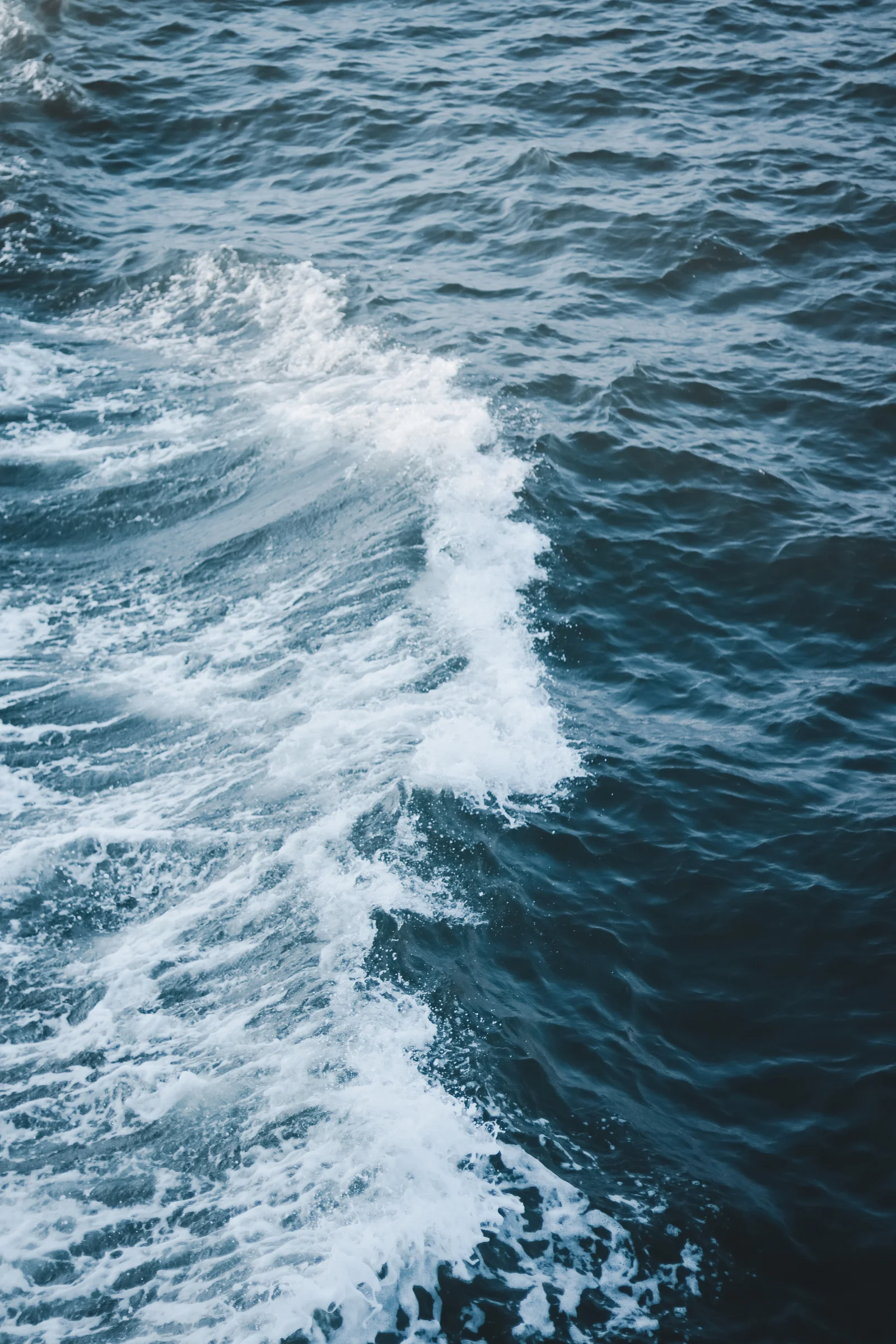 White foam swirls through deep blue water in the wake of a boat.