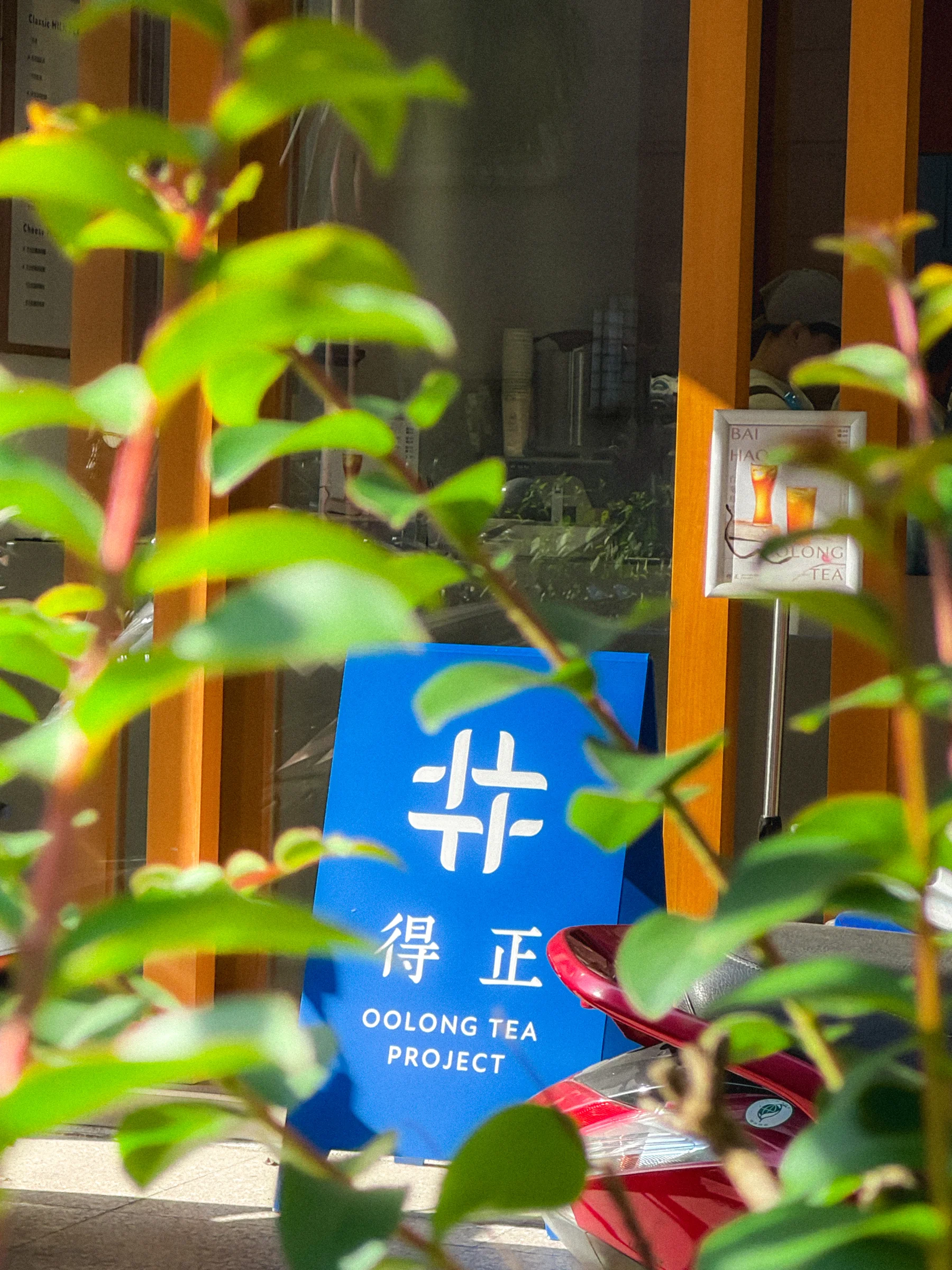 Green leaves frame a blue shop sign beside a warm wooden doorway.
