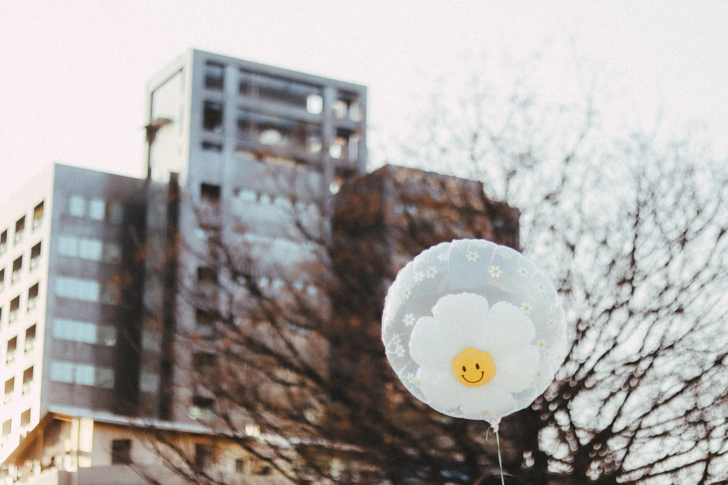 A large white flower decoration rises in front of city buildings and bare branches.