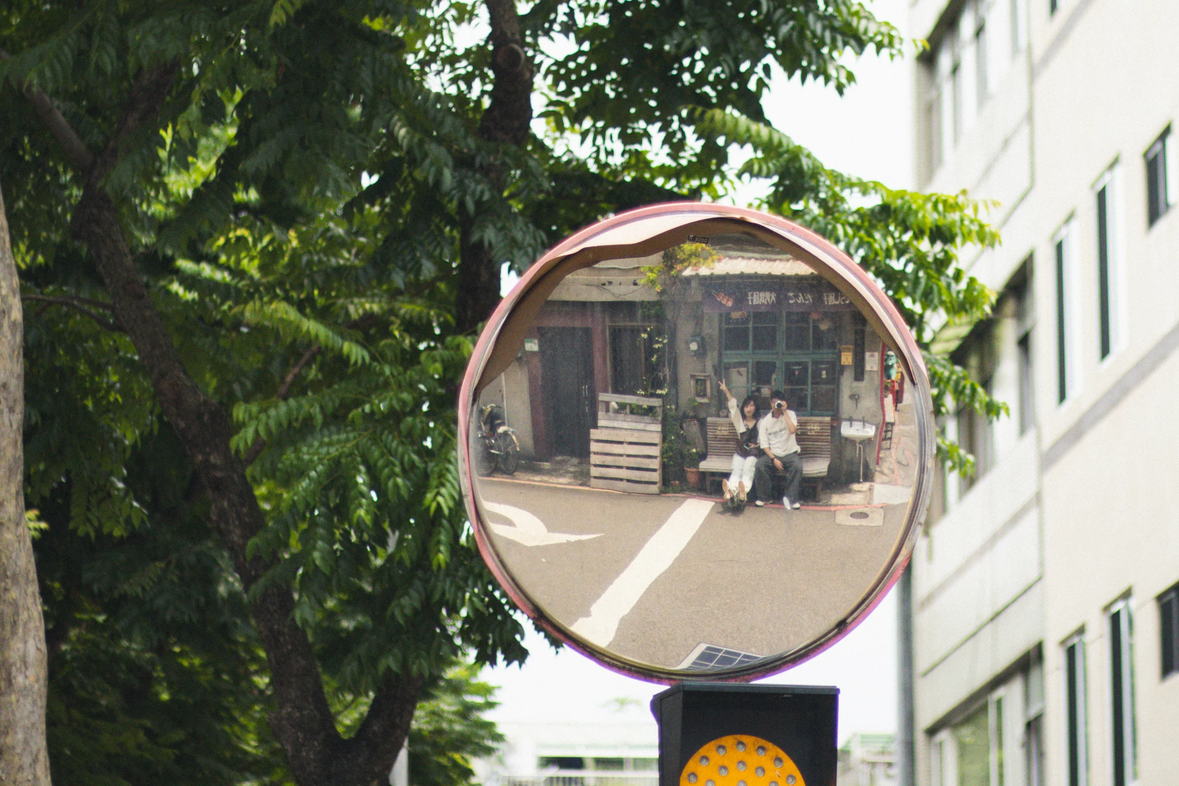 A round roadside mirror reflects a lane beneath leafy branches.