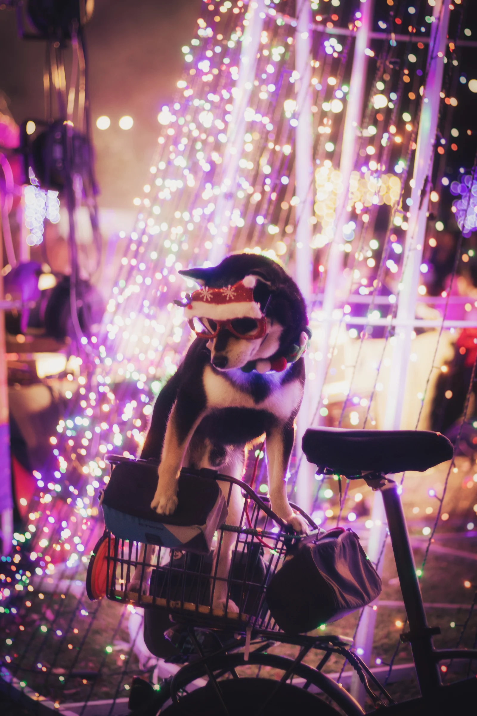 A seated guitarist performs among strings of colorful lights at night.