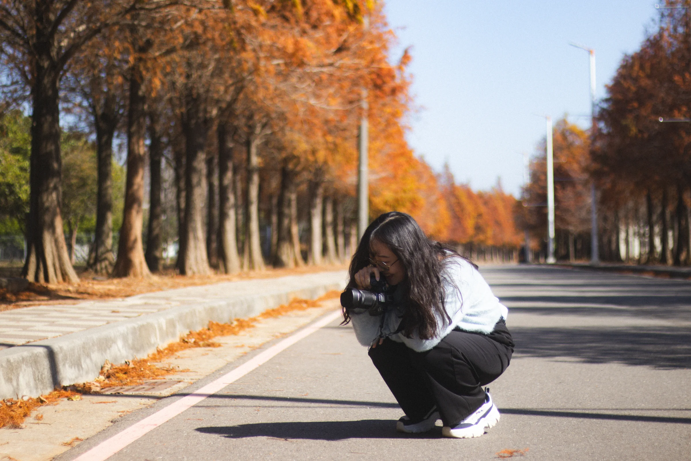 A person crouches with a camera on a road lined with orange autumn trees.