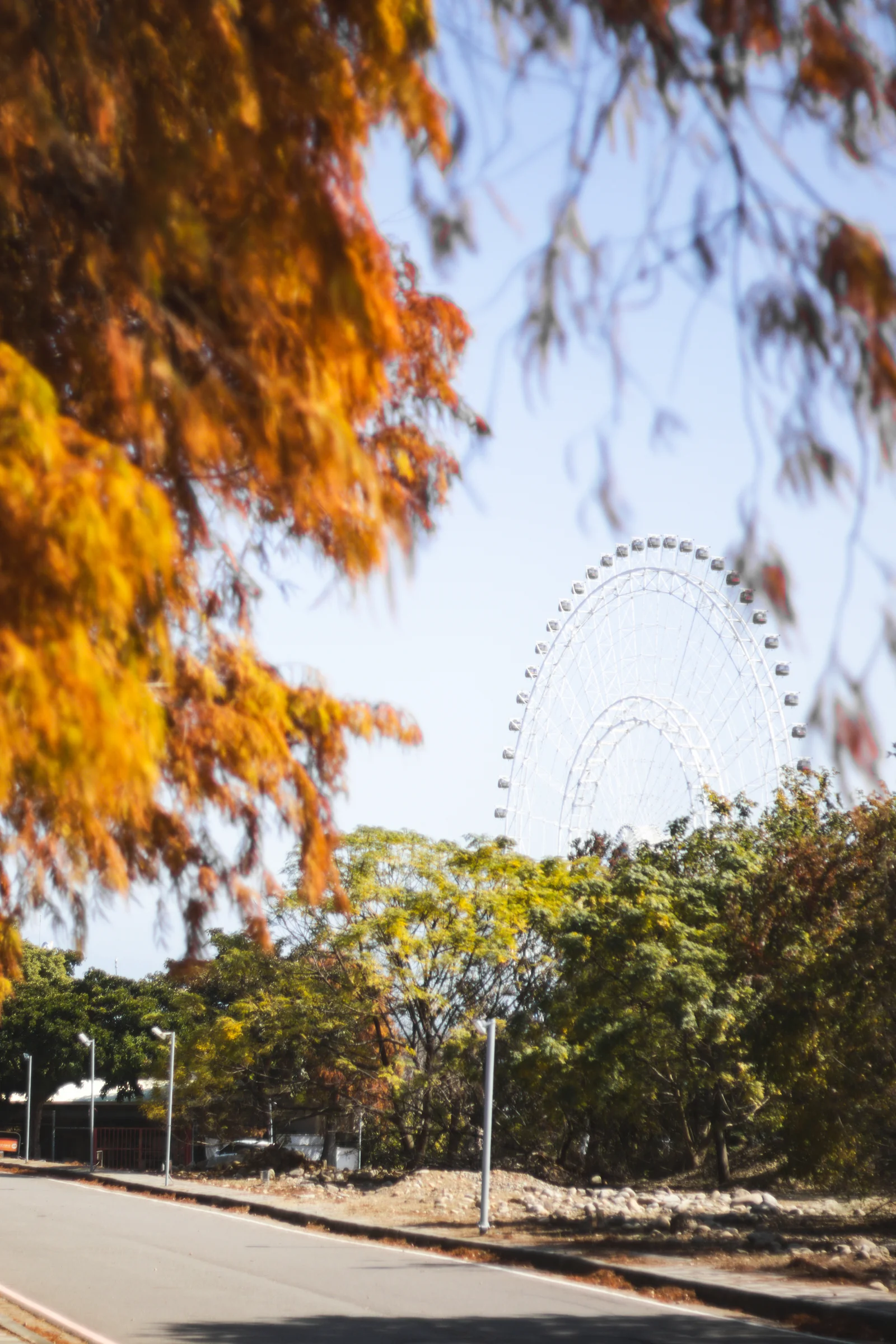 Orange foliage hangs above a path beneath a pale blue sky.
