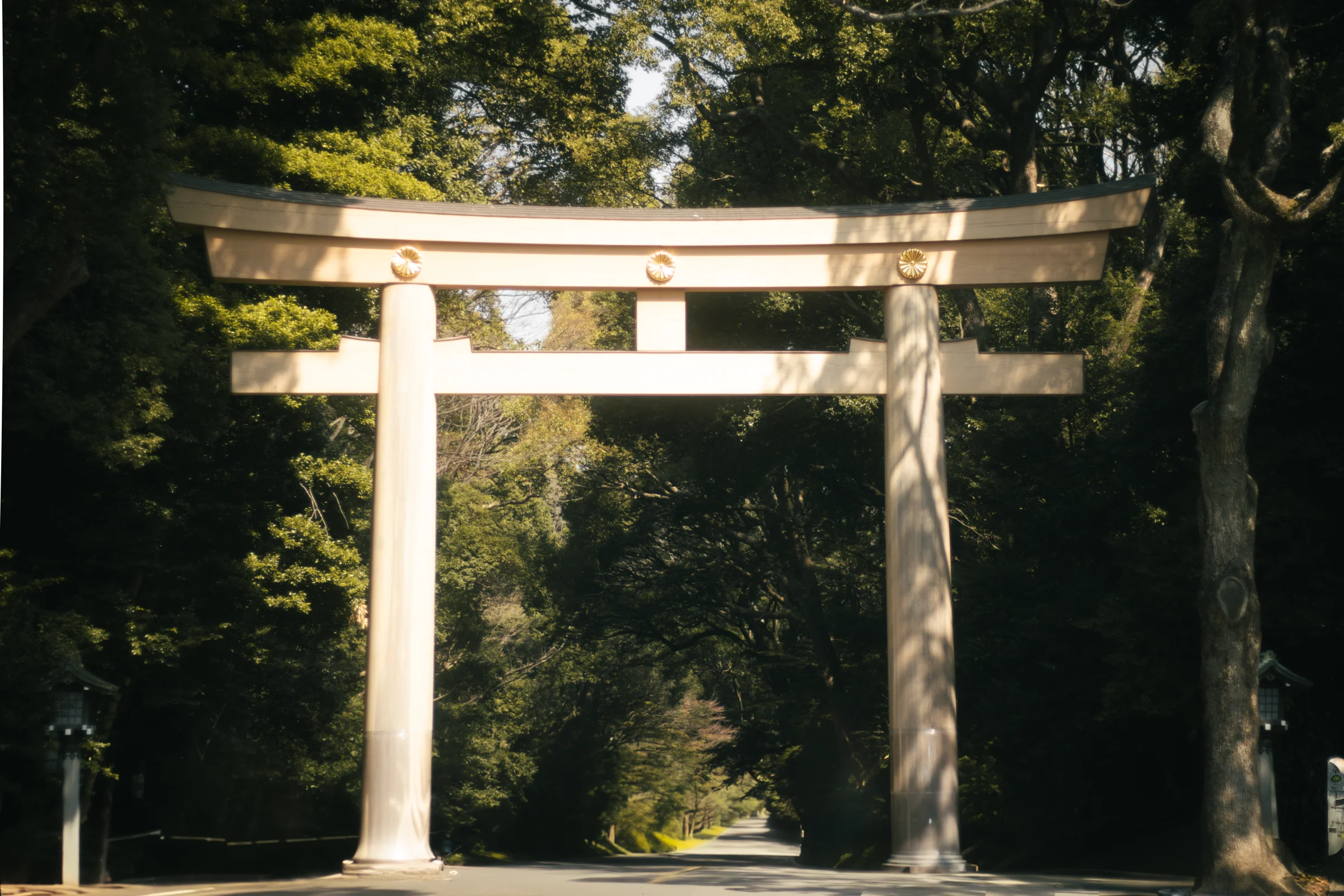 A pale torii gate stands at the entrance to Meiji Jingu.